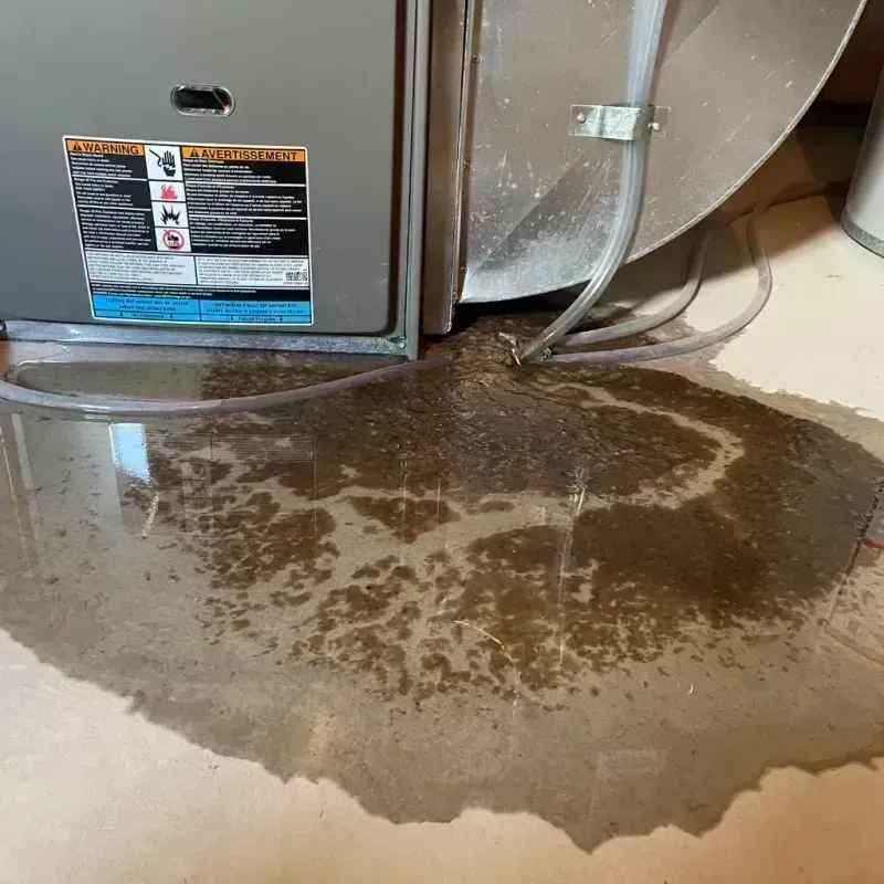 Appliance Leak Cleanup in Grandview, IL